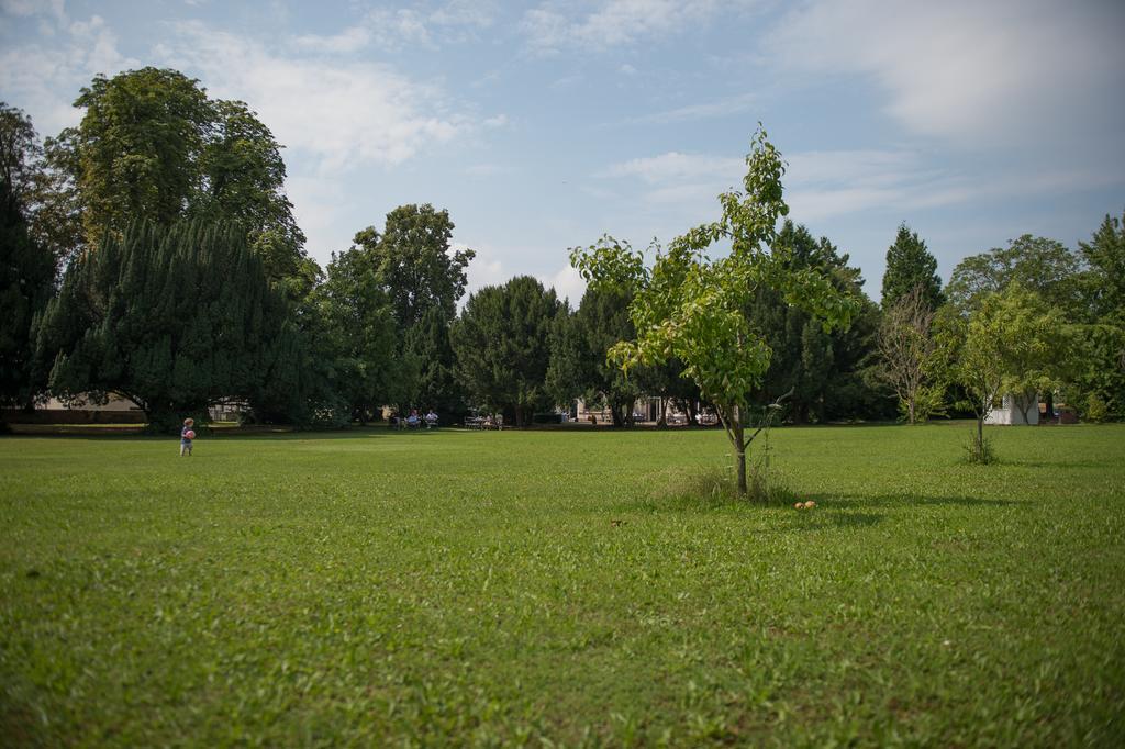 Parkhotel Tillmanns Эльтвилле Экстерьер фото